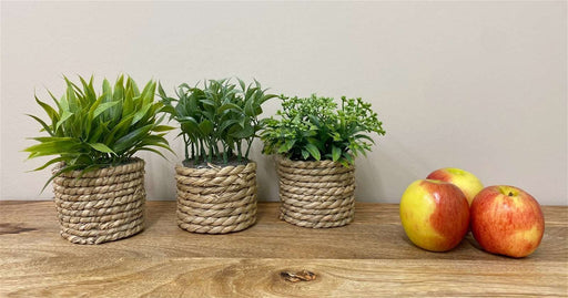 A Set Of Three Rope Effect Pots And Artificial Succulents - Kozeenest