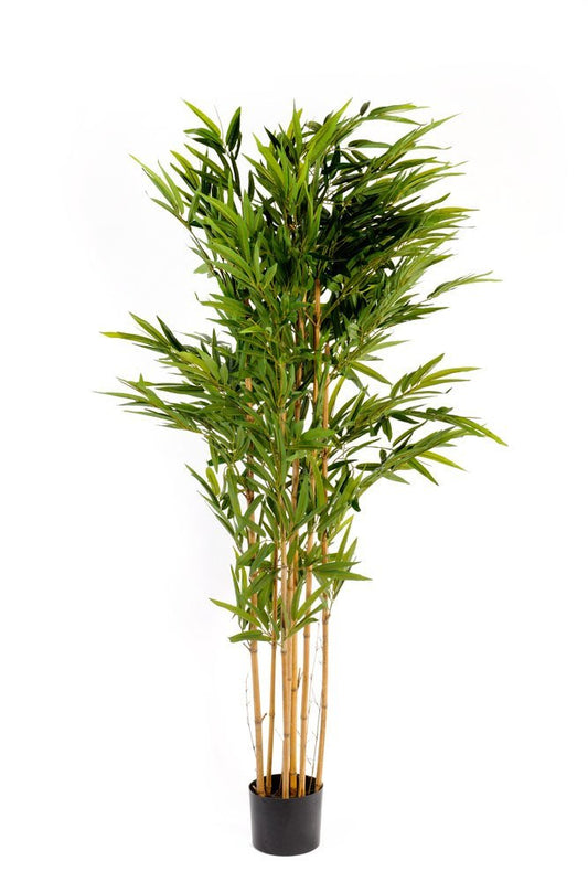 Artificial 6ft Bamboo Tree - Kozeenest