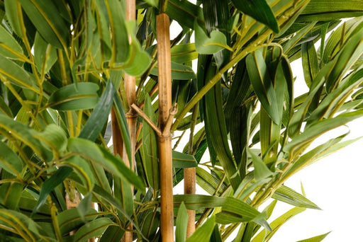 Artificial 6ft Bamboo Tree - Kozeenest