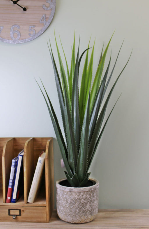 Artificial Aloe Vera Plant, 80cm - Kozeenest