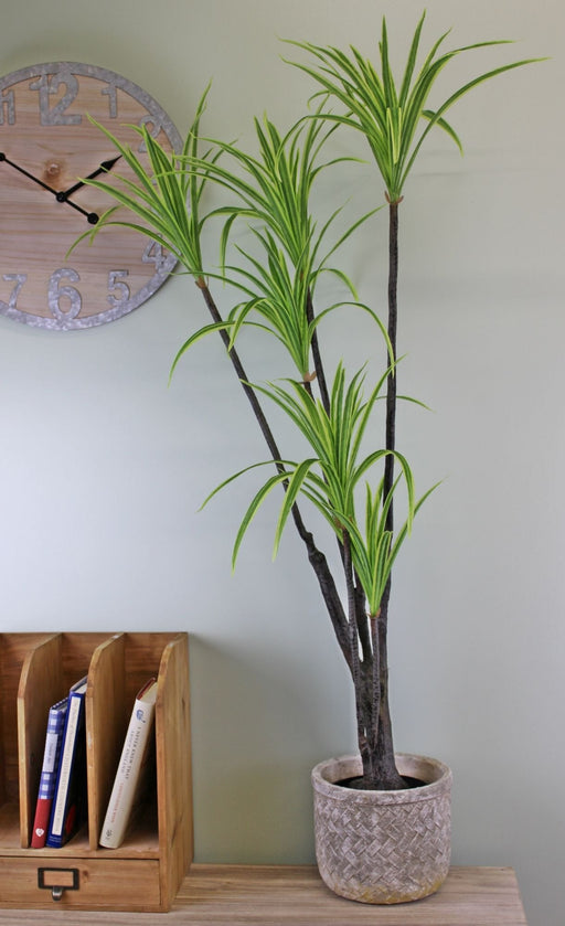 Artificial Dracaena Marginata tree, 120cm - Kozeenest