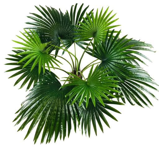 Artificial Fan Palm Tree 150cm - Kozeenest