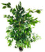 Artificial Ficus Tree With Pot 1.8m - Kozeenest