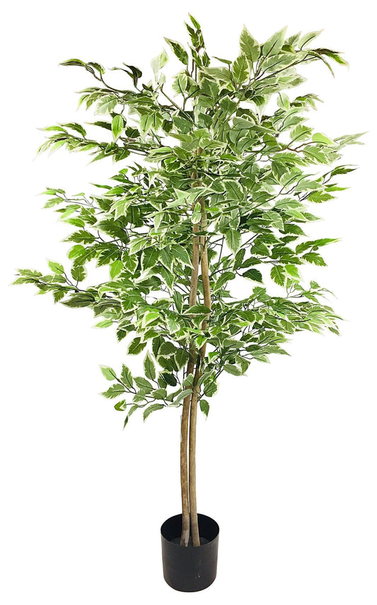 Artificial Ficus Tree With Variegation Leaves 150cm - Kozeenest