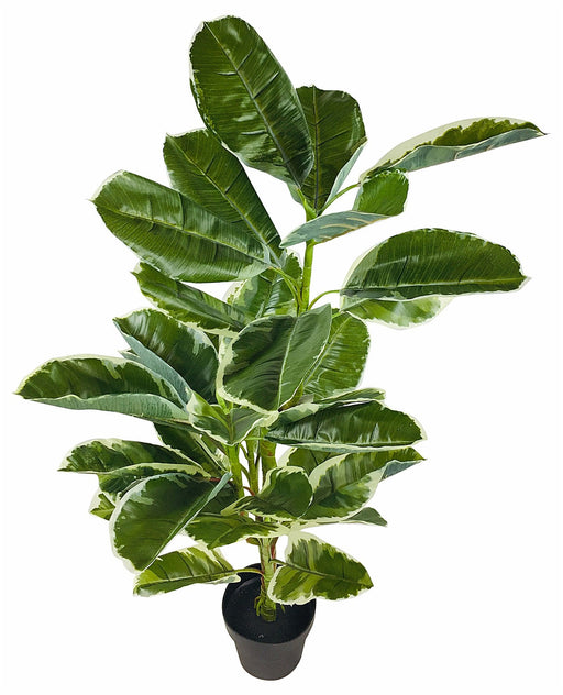 Artificial Large 110cm Rubber Ficus - Kozeenest