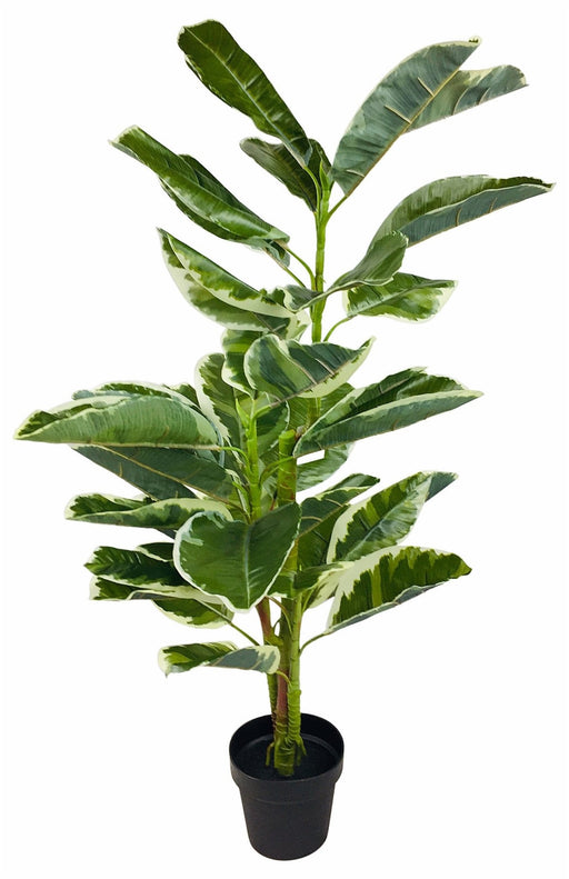 Artificial Large 110cm Rubber Ficus - Kozeenest