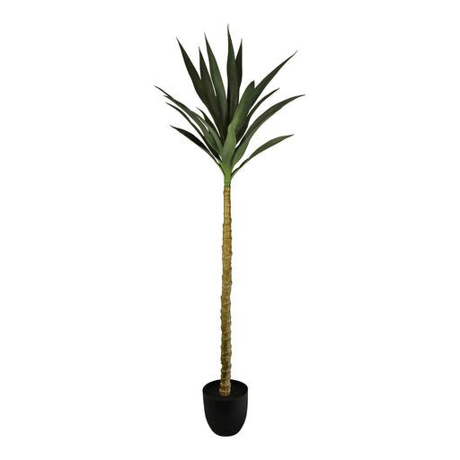 Artificial Single Trunk Yucca Tree, 130cm - Kozeenest