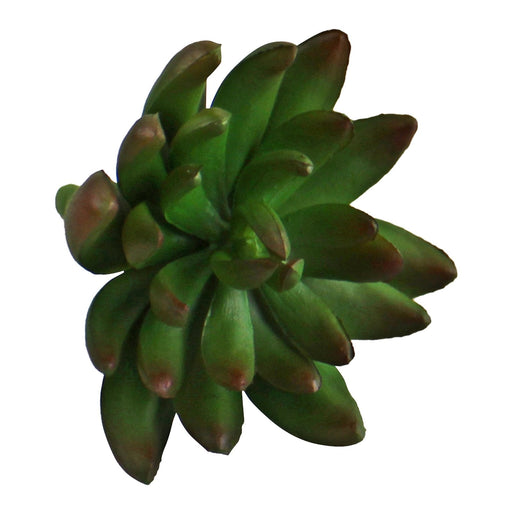 Artificial Small Succulent Pick, 11cm - Kozeenest