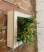 Artificial Succulents In Square Wooden Frame - Kozeenest