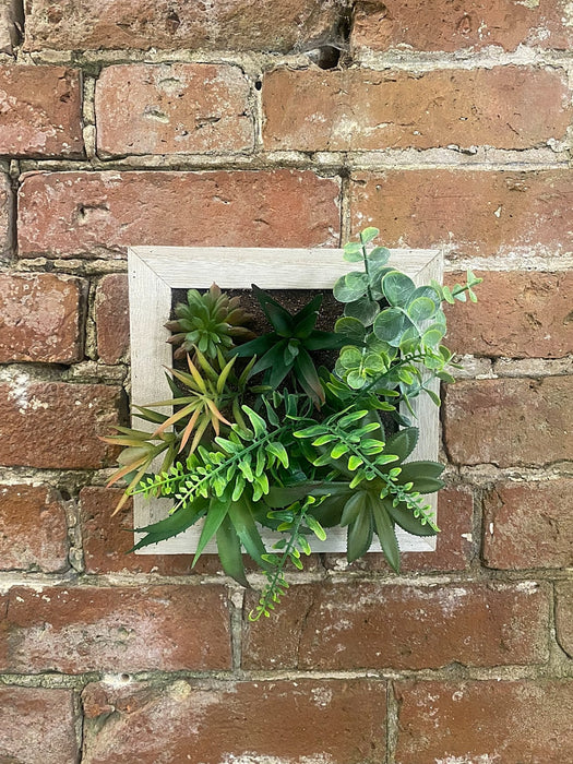 Artificial Succulents In Square Wooden Frame - Kozeenest