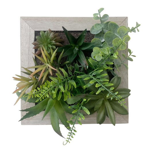 Artificial Succulents In Square Wooden Frame - Kozeenest