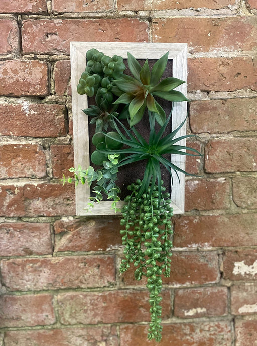 Artificial Succulents In Wooden Frame - Kozeenest