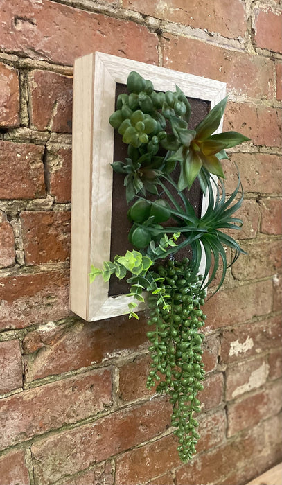 Artificial Succulents In Wooden Frame - Kozeenest