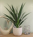 Artificial Yucca Plant, 60cm - Kozeenest