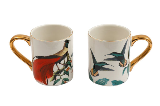 Birds of Paradise Mugs - Kozeenest