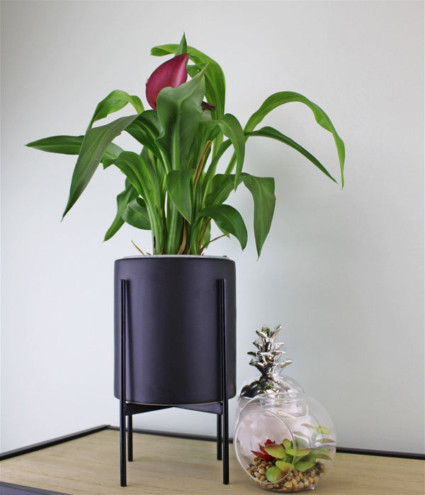 Black Planter Metal Stand 28cm - Kozeenest