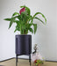 Black Planter Metal Stand 28cm - Kozeenest