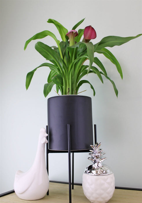 Black Planter Metal Stand 28cm - Kozeenest