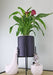 Black Planter Metal Stand 28cm - Kozeenest