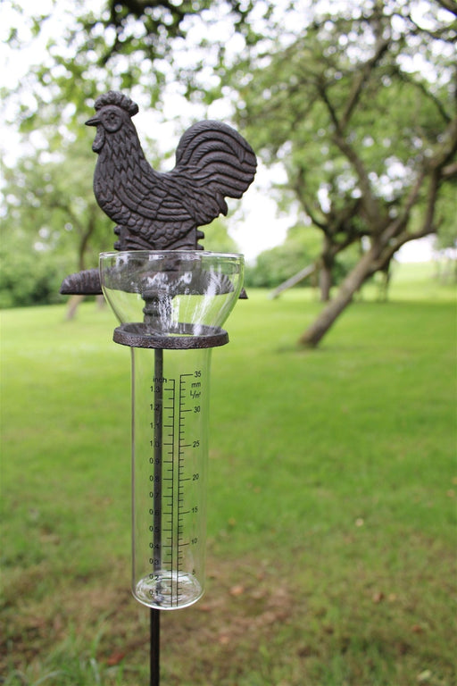 Cast Iron and Glass Garden Rain Gauge, Chicken - Kozeenest