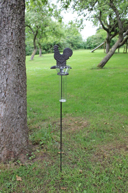 Cast Iron and Glass Garden Rain Gauge, Chicken - Kozeenest