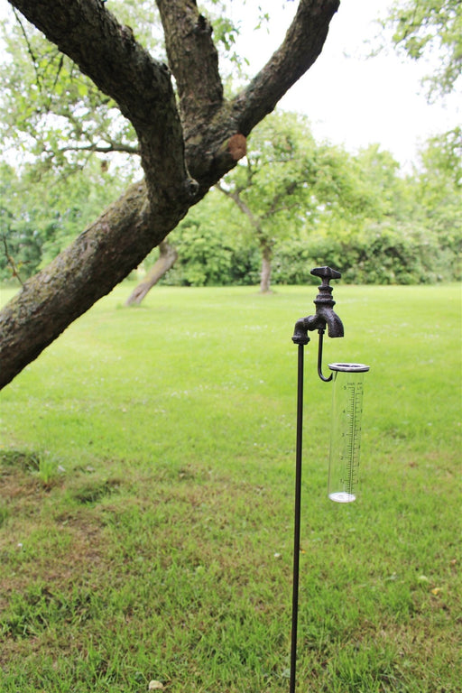 Cast Iron and Glass Garden Rain Gauge, Outside Tap - Kozeenest