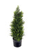 Cedar Topiary 58cm - Kozeenest