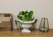 Classic Low Urn Planter - Kozeenest