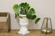 Classic Urn Planter - Kozeenest