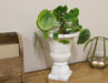 Classic Urn Planter - Kozeenest