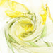 Daffodils - 100% Pure Silk Scarf - Kozeenest