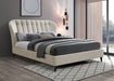 Double Premium Package | Elm Double Bed Brown & SleepSoul Heaven Mattress-1