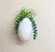 Faux Succulents in Wall Planter - Kozeenest