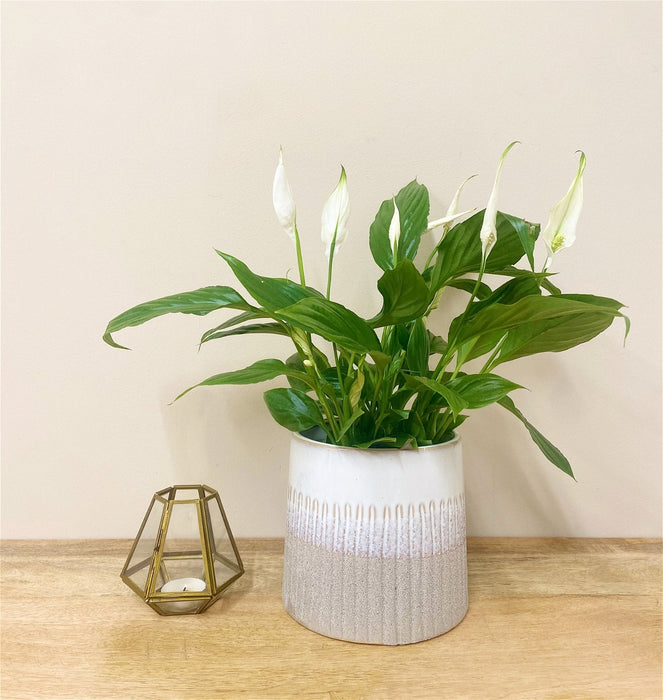 Grey Two-tone Textured Planter - Kozeenest