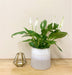 Grey Two-tone Textured Planter - Kozeenest