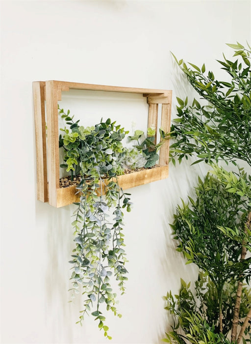 Modern Succulent Wall Crate Shelf - Kozeenest