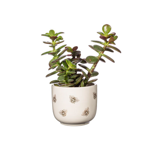 Queen Bee Mini Planter - Kozeenest