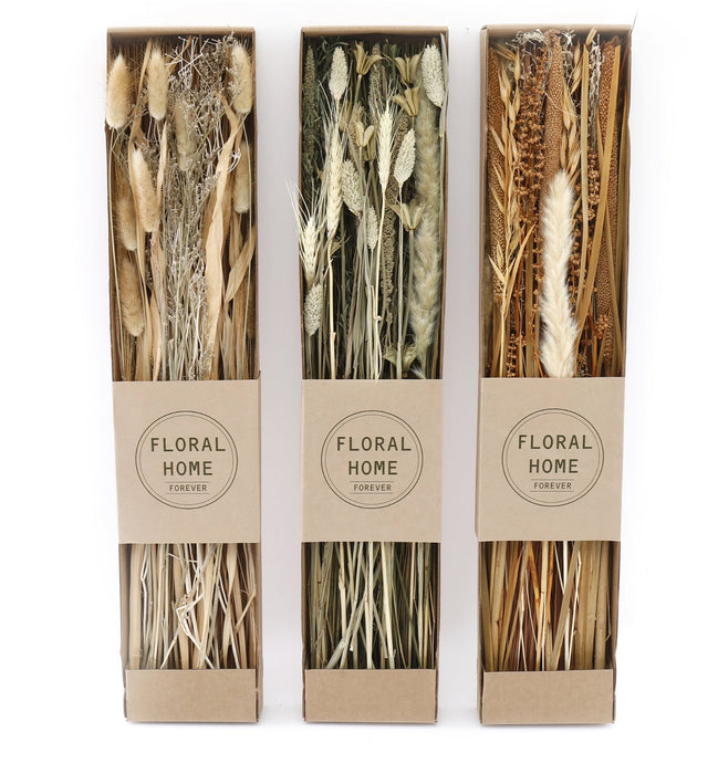 Set of 3 Dried Grasses in Display Box - Kozeenest