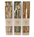 Set of 3 Dried Grasses in Display Box - Kozeenest