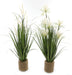 Set of 2 Artificial Standing Grass in Roped Pot - Kozeenest