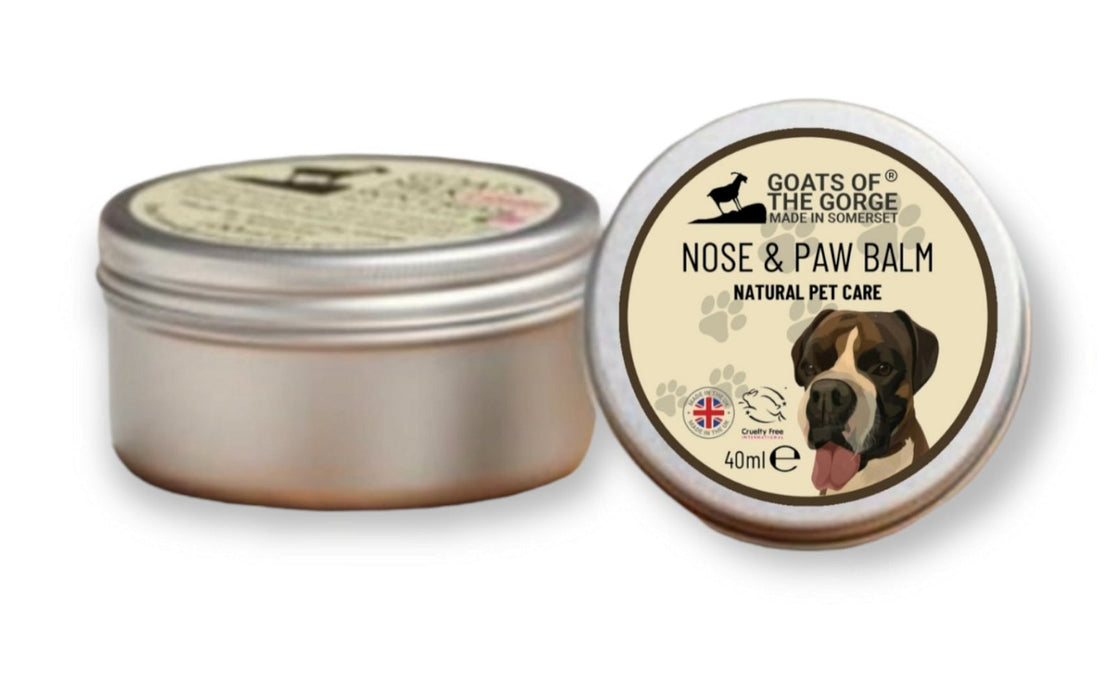 Pet Nose and Paw Balm - Kozeenest