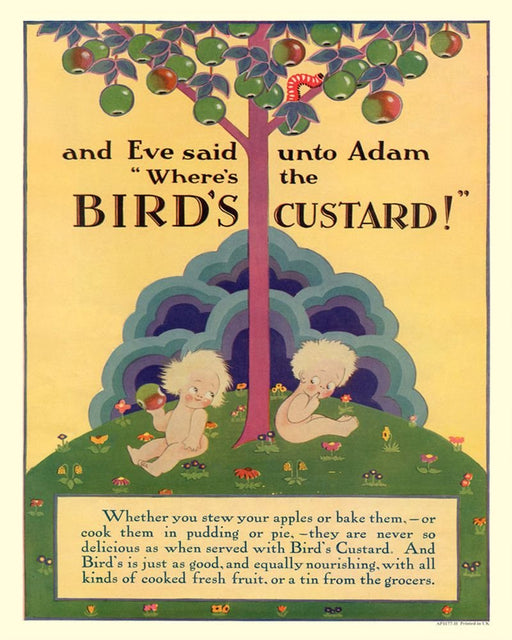 Vintage Metal Sign - Retro Advertising - Birds Custard, Adam & Eve - Kozeenest