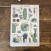 Vintage Metal Sign - Retro Cacti & Succulents Identification Picture - Kozeenest