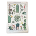 Vintage Metal Sign - Retro Cacti & Succulents Identification Picture - Kozeenest