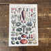 Vintage Metal Sign - Vintage Botanical Kitchen Vegetables Sign - Kozeenest