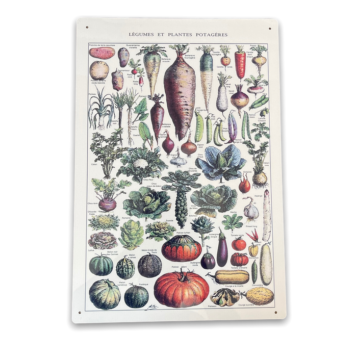 Vintage Metal Sign - Vintage Botanical Kitchen Vegetables Sign - Kozeenest