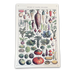 Vintage Metal Sign - Vintage Botanical Kitchen Vegetables Sign - Kozeenest