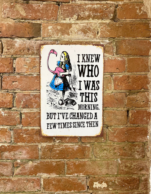 Vintage Metal Sign - Alice In Wonderland - I Knew Who I Was, But I've Changed - Kozeenest