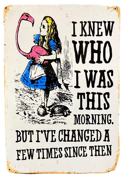 Vintage Metal Sign - Alice In Wonderland - I Knew Who I Was, But I've Changed - Kozeenest