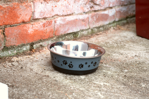 Pet Bowl 1.2 Litre In Cool Grey - Kozeenest